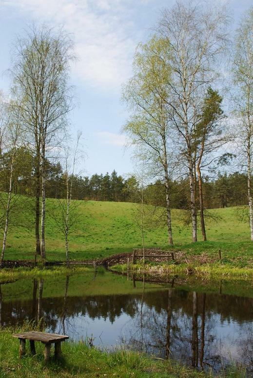 Pod Kogutkiem Kruklanki Exterior foto